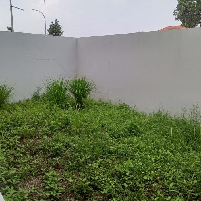 Rumah disewakan di Waterfront Lippo Cikarang
